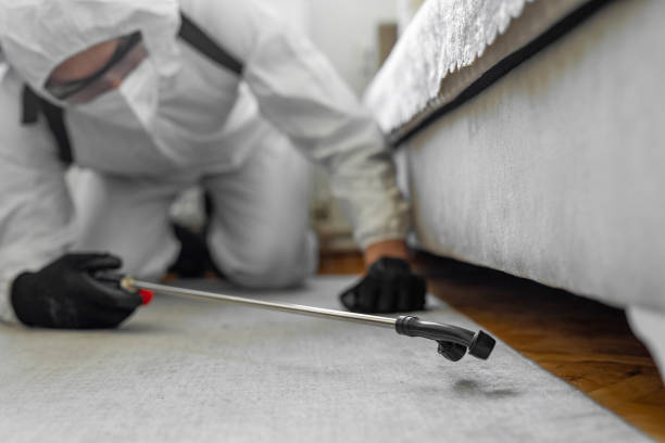 Professional Bed Bug Control technician working in Swartz Creek, MI