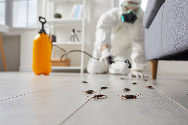 Trusted Rodent Control service in Swartz Creek, MI - Nex Pest Control